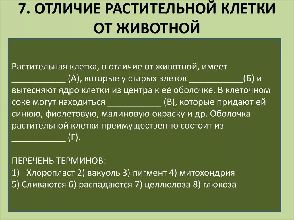 7 отличий растений от животных. Отличие растительной клетки от животной. отличие растительных клеток от животных. отличие от растительной клетки от животной. отличие живот клетки от растительной.