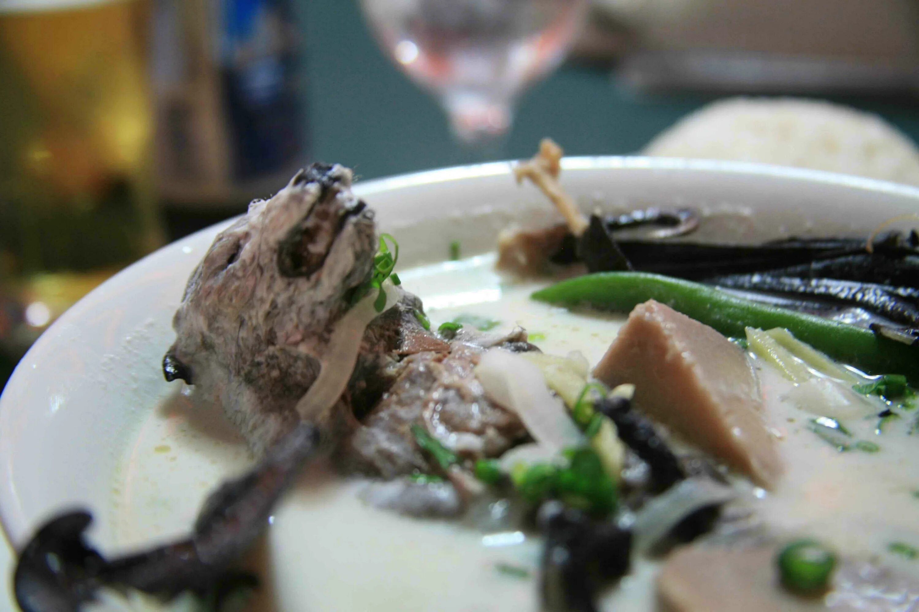 Ужасное блюдо. Суп из летучей мыши Китай. Экзотические блюда. Отвратительные китайские блюда.
