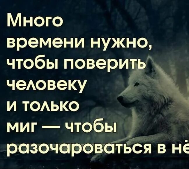 Много времени нужно чтобы поверить человеку. Статусы о доверии и разочаровании. Доверие и разочарование. Доверяя людям будьте осторожны. Для чего нужно доверие