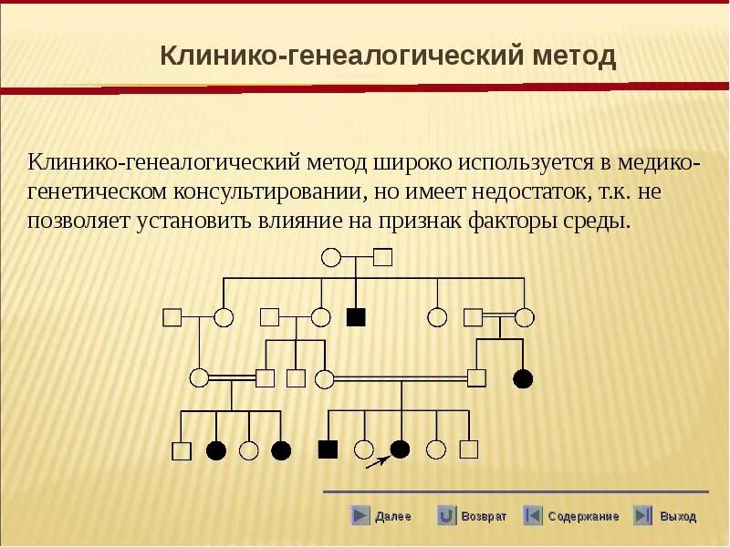 Генеалогический метод исследования используется. Родословная клинико генеалогический метод. клинико-генеалогический метод изучения наследственности человека. клинико генеалогический метод генетика. клинико-генеалогический метод болезни.