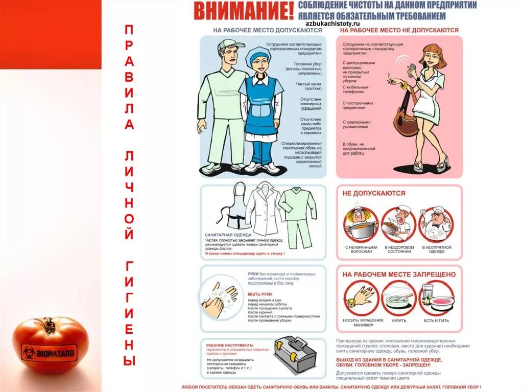 Нормы ХАССП для общественного питания. Памятка для общественного питания-. ХАССП для пищевого производства. ХАССП на пищевом предприятии картинки. Инструкции пищевом производстве