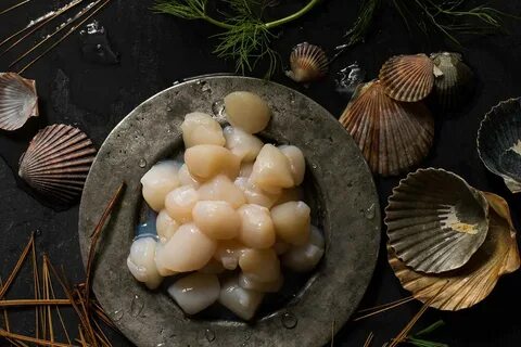 Гребешок белого моря