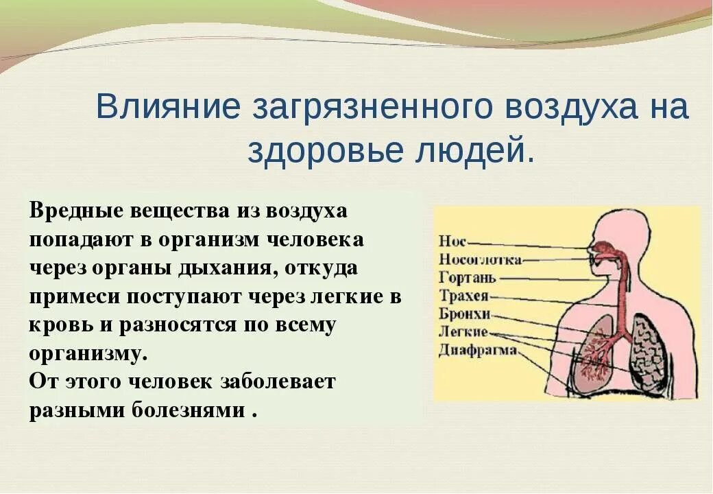 Воздух из гортани попадает в. Влияние загрязнения воздуха на человека. Загрязнение атмосферы влияние на организм человека. Влияние загрязнения атмосферы на человека. Влияние загрязненной атмосферы на здоровье человека.