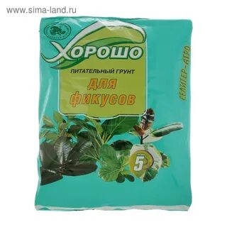 Какая земля для фикусов