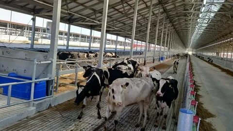 Продам сельскохозяйственное предприятие