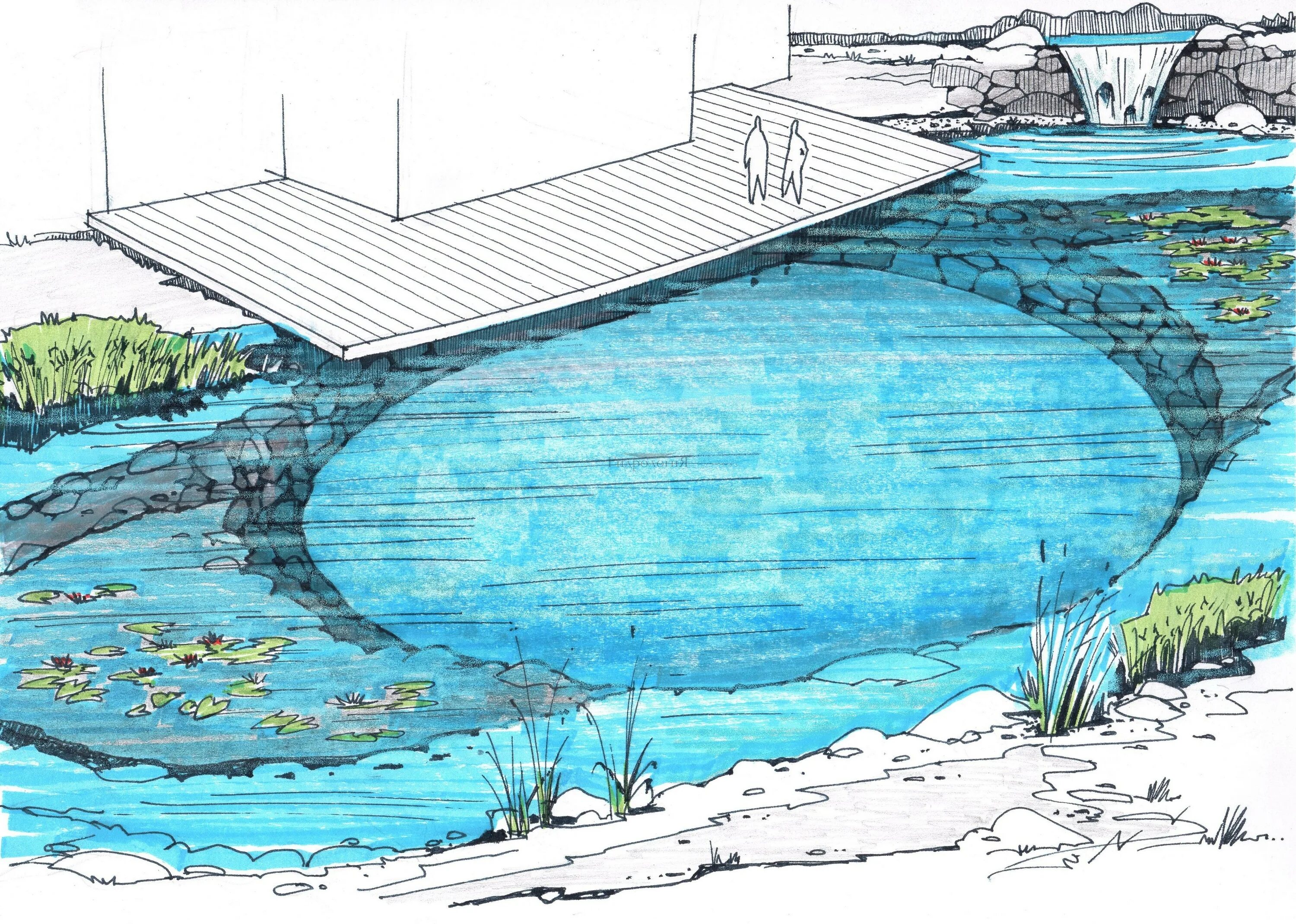 Проект водоема. Проект пруда. Эскиз водоема. Эскиз декоративного водоема.