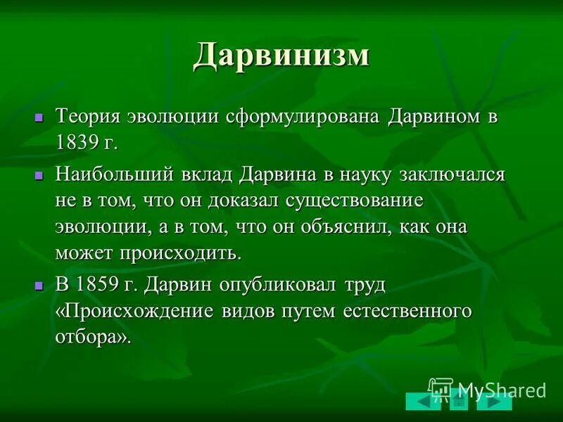 позиция дарвинизма