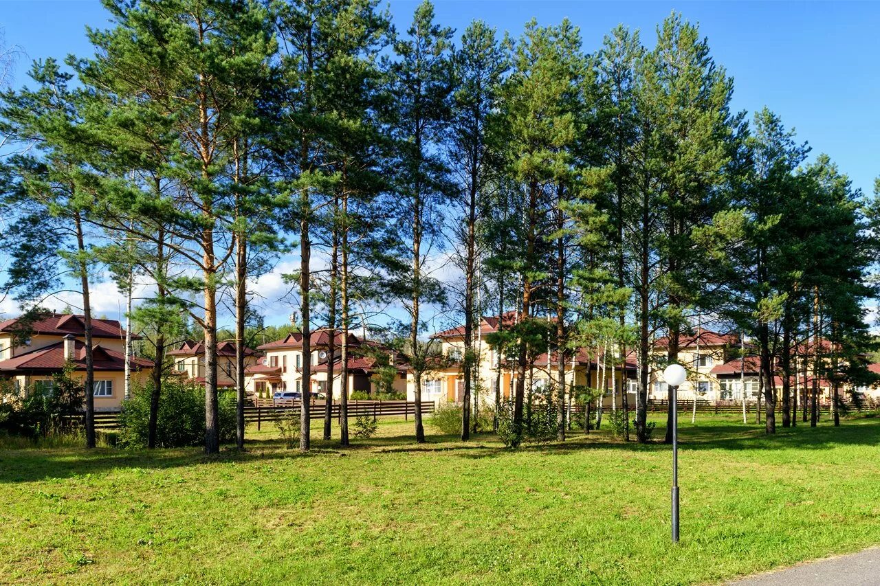 яхонты истра. где находятся яхонты. яхонты ногинск карта территории. дом отдыха яхонты ногинск. где находятся яхонты.