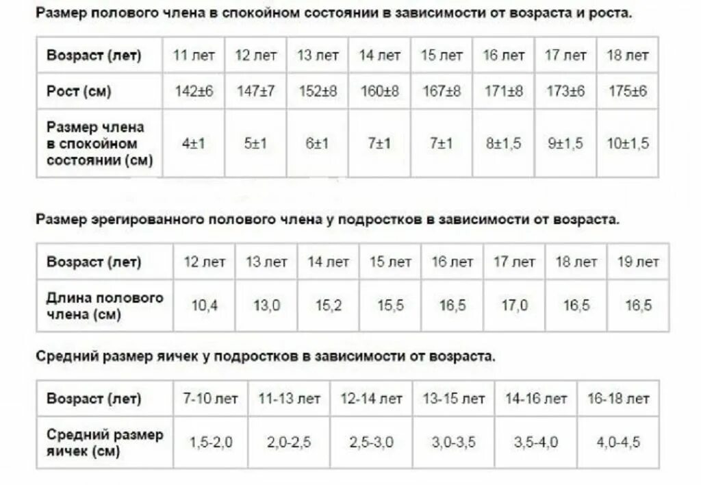 Сколько сантиметров бывает. Таблица нормы размера члена. Длина члена норма Размеры. Нормы размера полового органа. Таблица длины члена подростка.