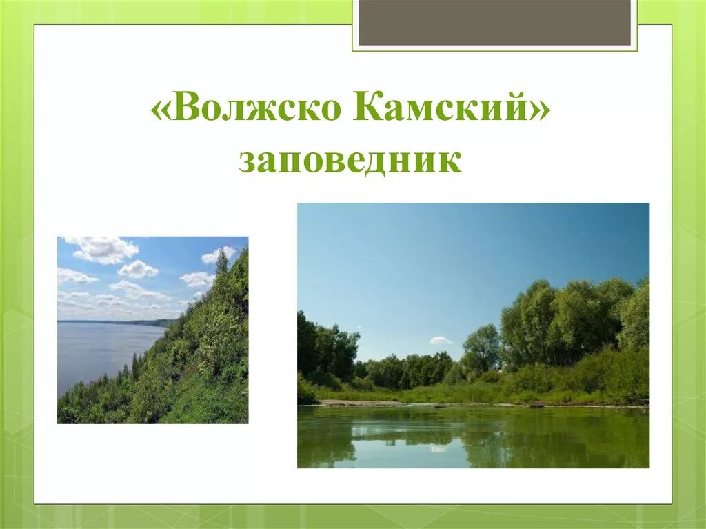 Проект родной край татарстан. Волжско-Камский заповедник Республики Татарстан. Музей Волжско-Камского заповедника. Заповедники и национальные парки Татарстана. Волжско-Камский заповедник презентация.