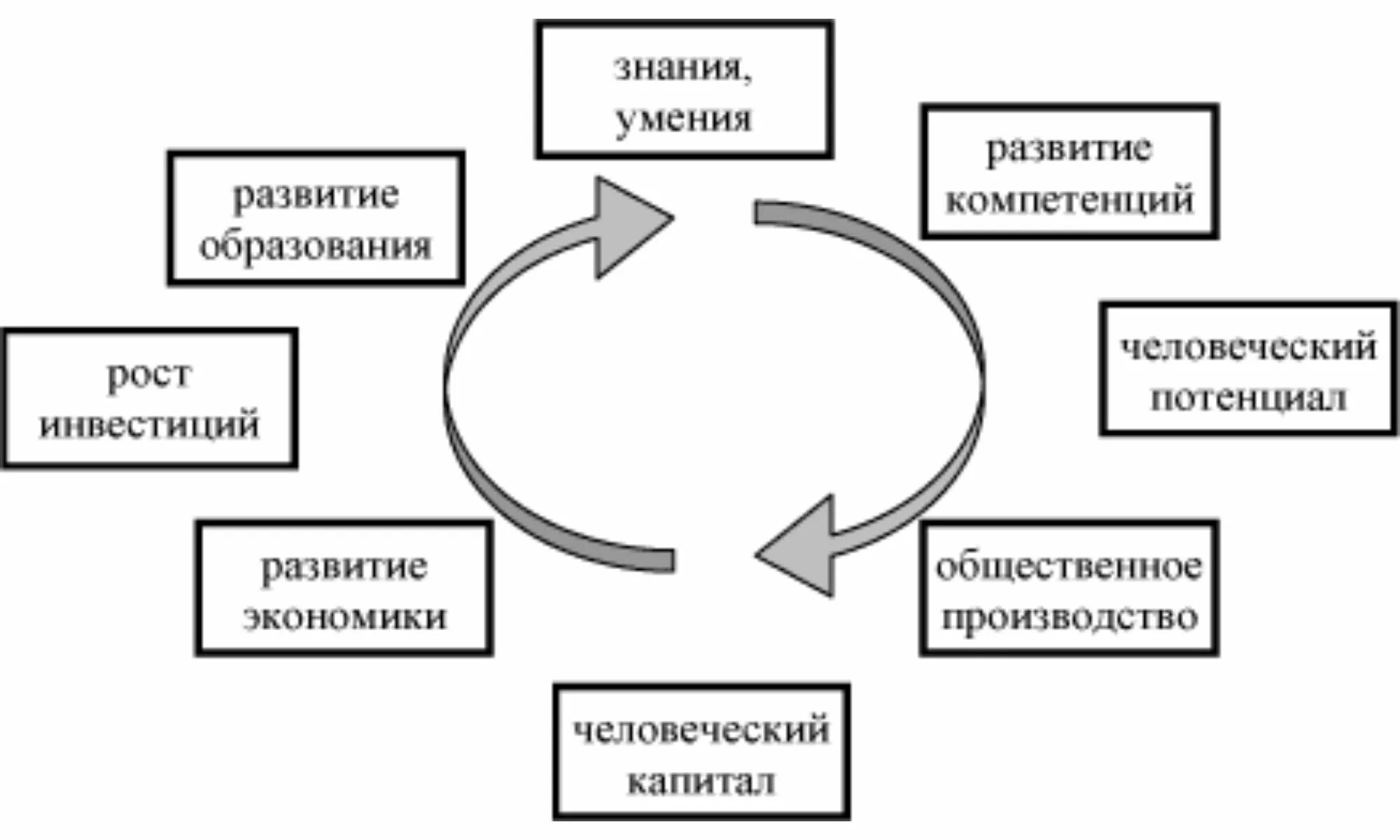 Человеческий капитал в современной экономике. Схема формирования человеческого капитала. Понятие и виды человеческого капитала. Цикл развития человеческого капитала.. Факторы формирования и развития человеческого капитала.