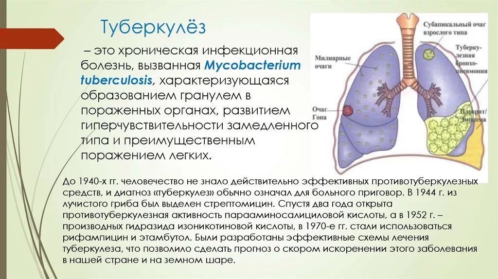 Туберкулез образ жизни. Септический туберкулез. Туберкулез презентация. Туберкулез легких понятие. Инфекционные заболевания легких.