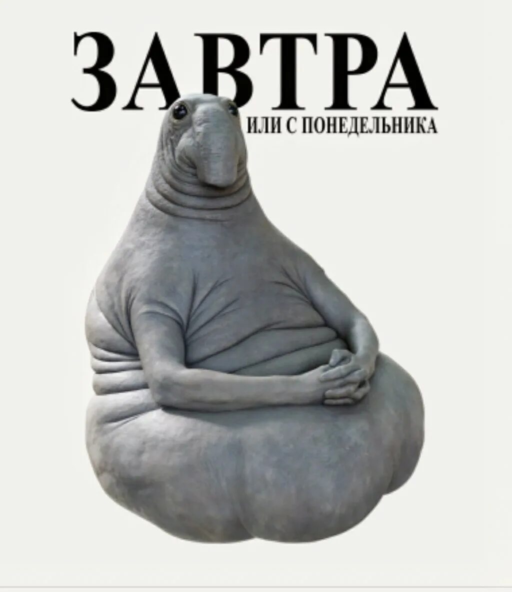 Про жду. Ждун мем. Цитаты про гулянки. Собака ждун. Значок ждуна.