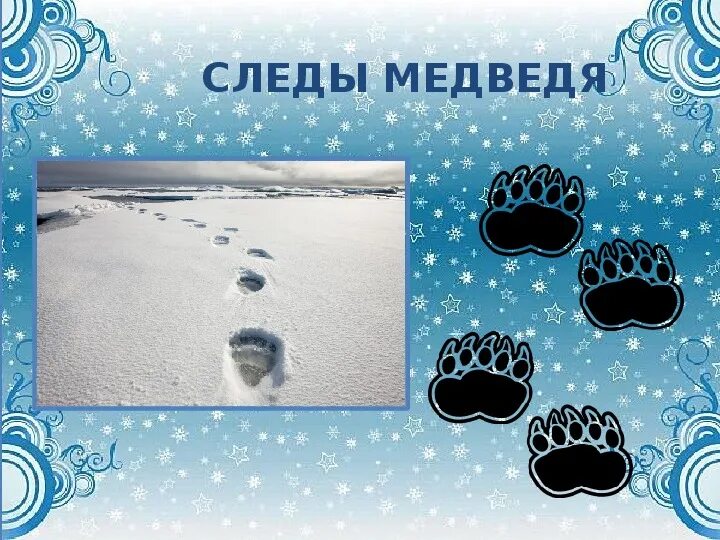 Следы медведя. Следы медведя на снегу. Следы медведя зимой. Следы медвежонка на снегу.