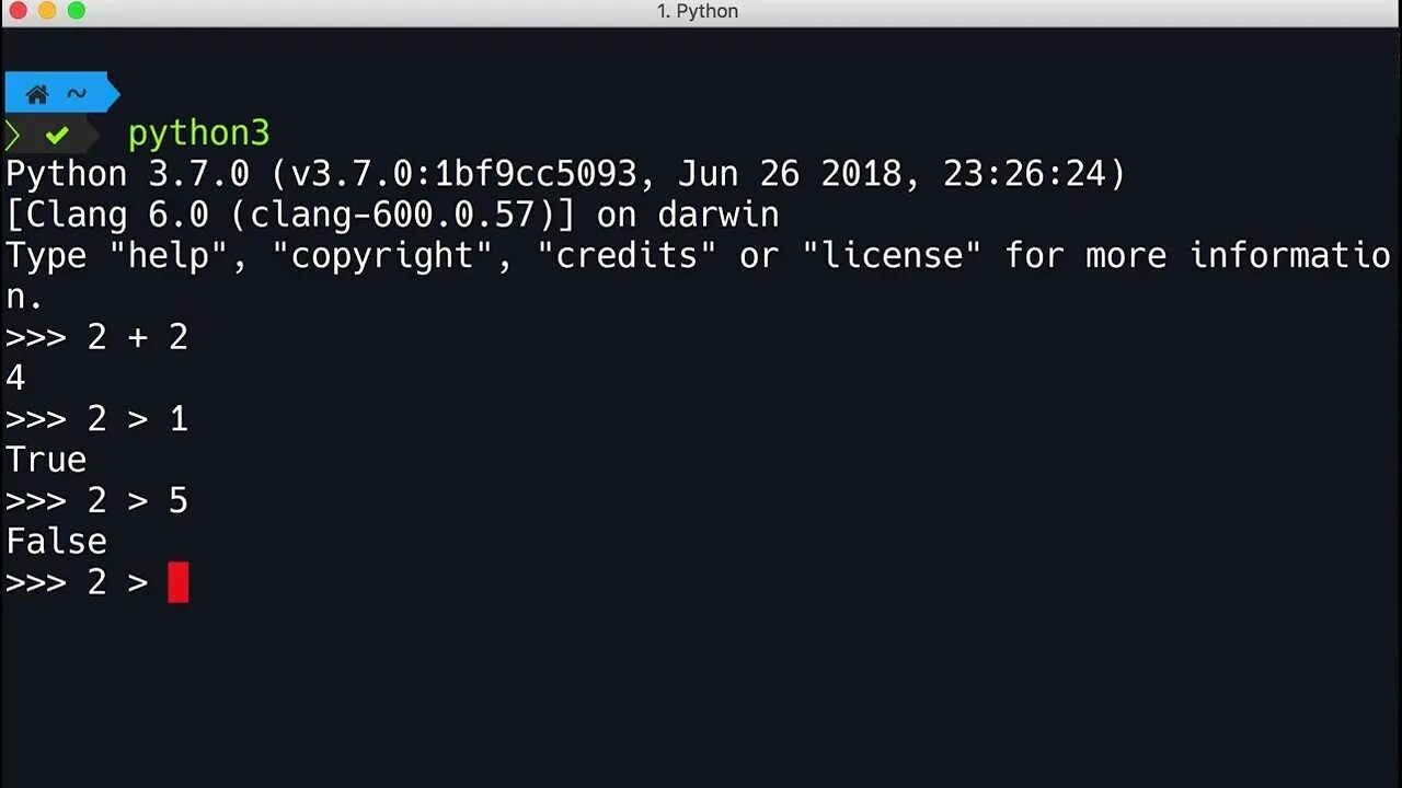 Python re примеры. Интерпретатор python. интерпретатор python 3. как выглядит интерпретатор питона. схема интерпретатора python.