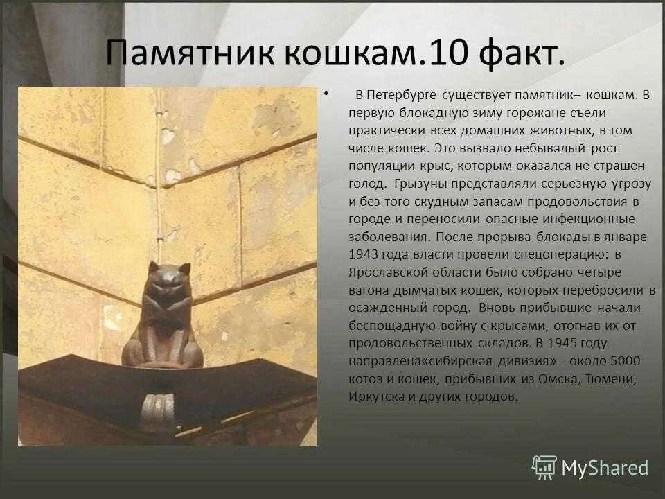 Блокада коту. Памятник кошкам в Санкт-Петербурге блокада Ленинграда. Блокада Ленинграда памятники кошкам в Петербурге. Памятник кошке. Памятники кошкам в городах.