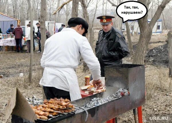 Штраф за жарку шашлыка в неположенном месте