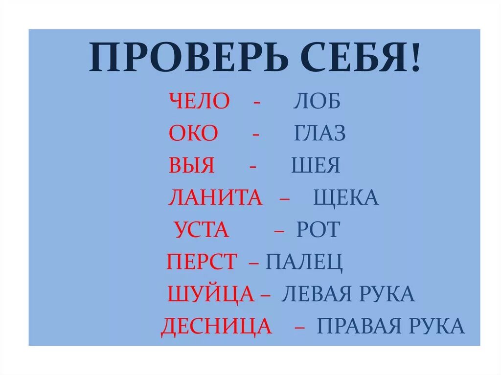 Чело 4 буквы. Чело лоб. Око чело. Чело десница шуйца уста Перси перст Длань Зеница очи ланиты. Лоб чело рука Длань шея-.