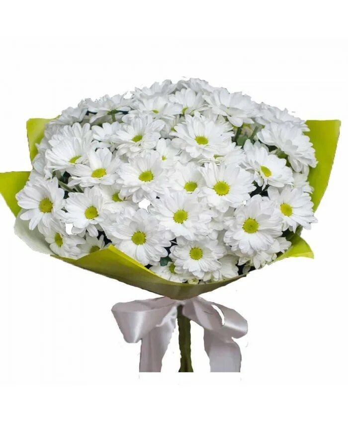Букет из белых кустовых хризантем. 15 кустовых хризантем букет. Букет 101 хризантема кеннеди. Букет белых кустовых хризантем. Хризантема кустовая балтика белая.