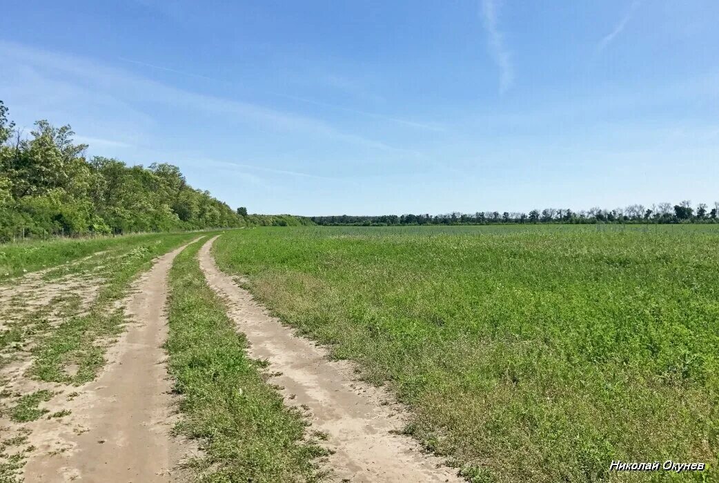 Полевая дорога. Полевая грунтовая дорога. Полевой участок. Картинки Полевая дорога.