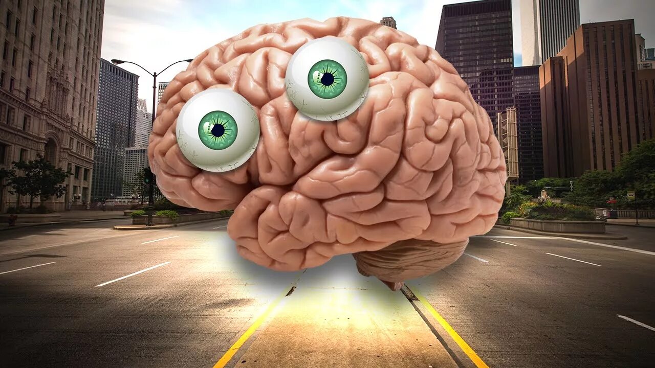 Видео про мозг. Мозг с глазками.