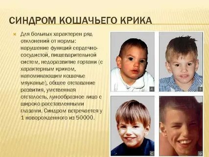 Симптомы кошачьего крика