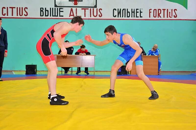 Вольная борьба зерноград. Спорткомплекс славянск на кубани. Тренера по вольной борьбе гулькевичи. Славянск на кубани вольная борьба. Кубаки на соревнованяя.