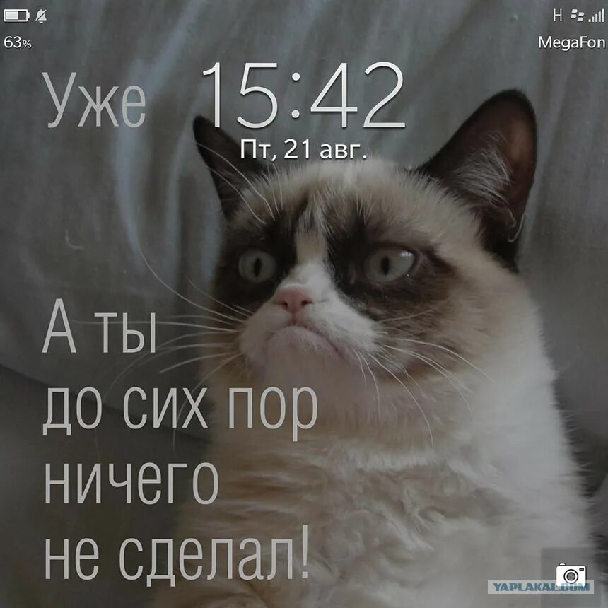 мемы саня верни сотку. до сих пор не отдал. ты меня понимаешь. запас прочности стих. уже а ты ничего не сделал.