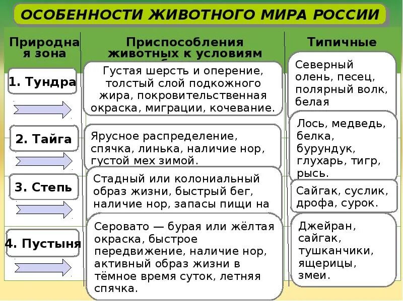 Приспособление животных в природных зонах. Растительный и животный мир России таблица. Природные зоны растения и животные таблица.