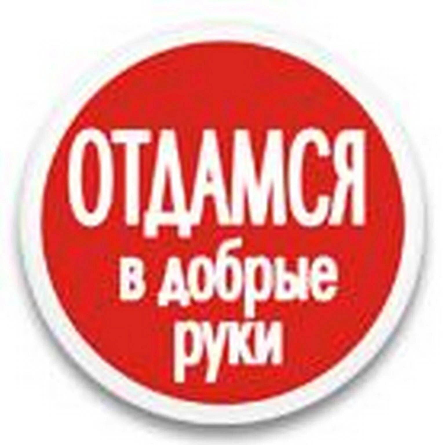 В добрые руки сайт. Отдамся в заботливые руки. Отдамся в добрые руки. Отдамся в добрые женские руки. Отдамся в хорошие руки картинки.