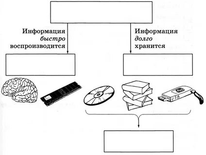 Схема информации