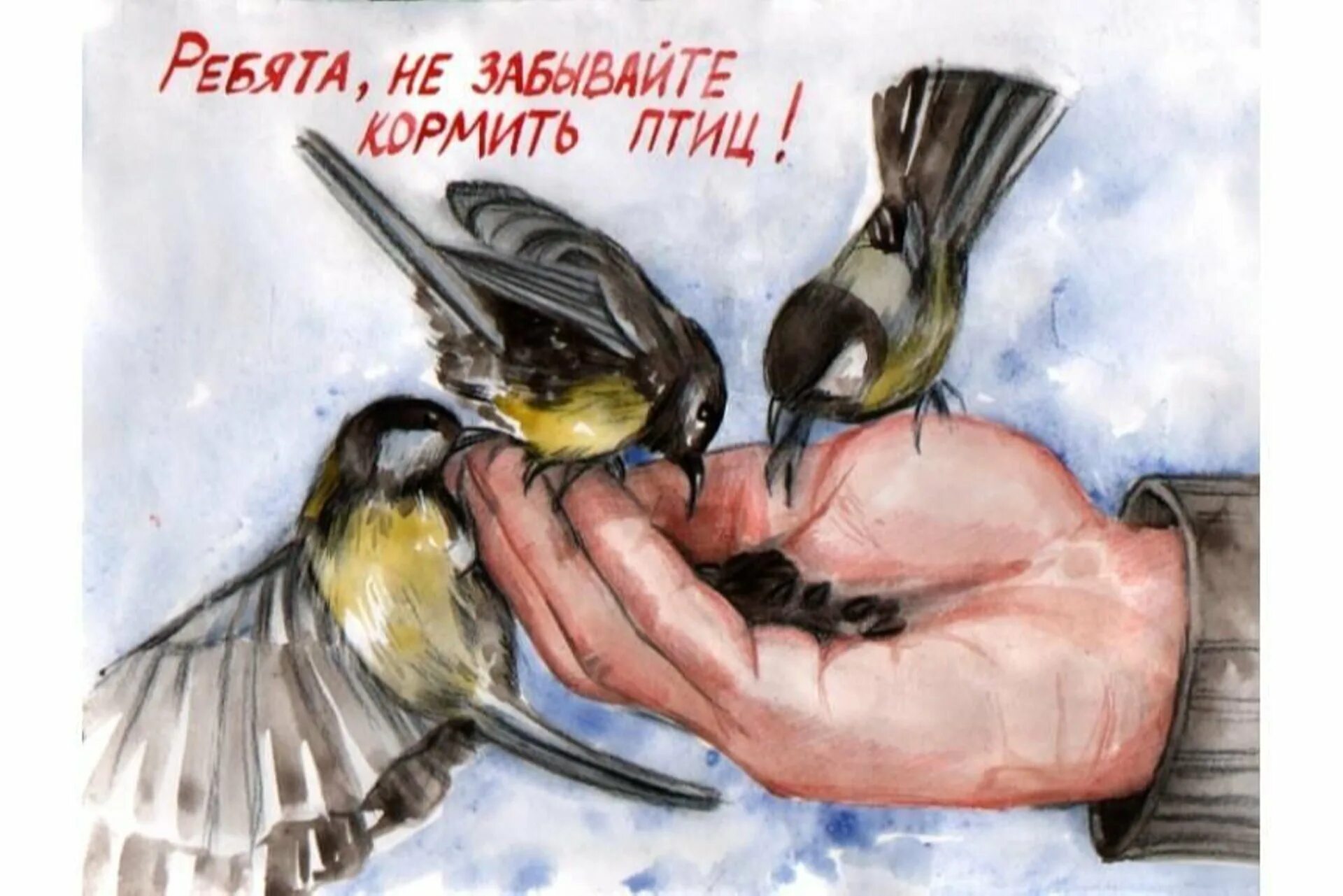Защита и помощь человека птицам. Покормите птиц зимой. Защита птиц. Плакат на тему защита зимующих птиц. Помоги птицам.