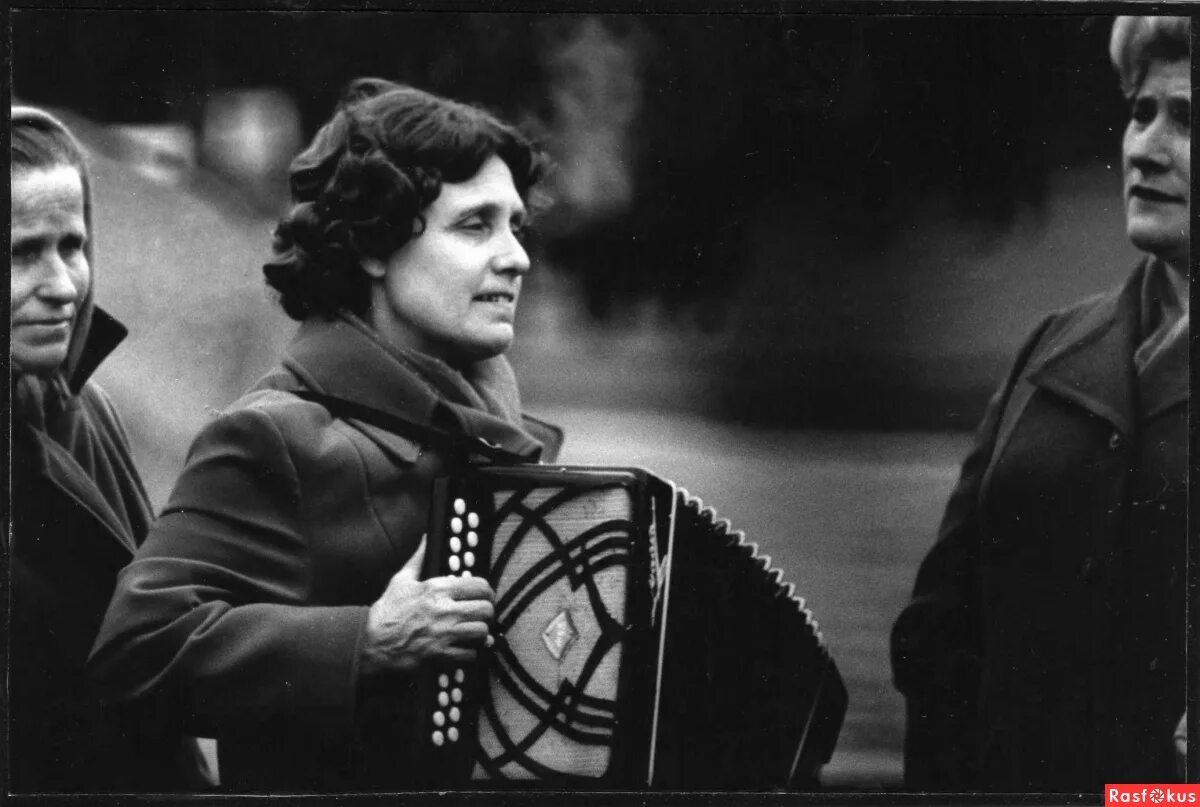 белой акации цветы эмиграции. цветы эмиграции. белая акация. акация для кроликов. цветы эмиграции.