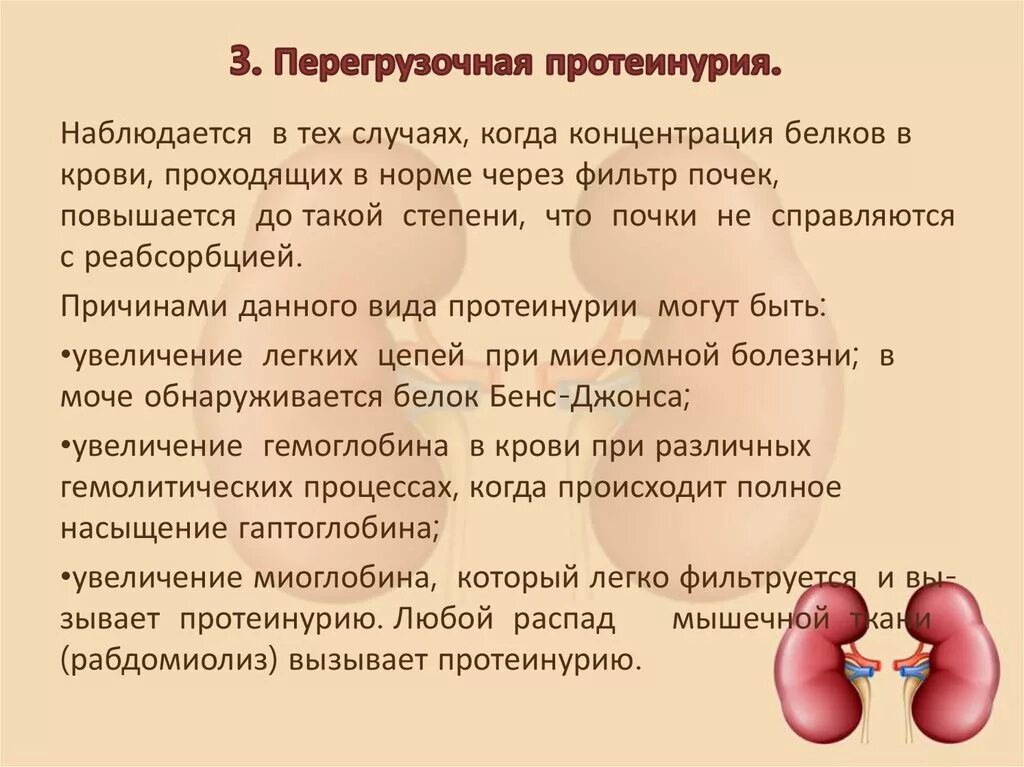 Почки повышенный креатинин