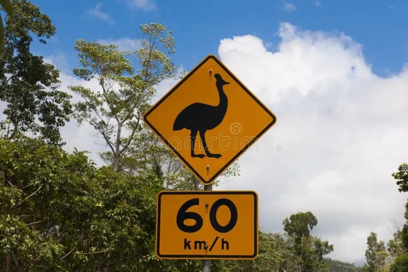 Знак с утками. Казуар знак. Знак Австралии. Знак осторожно казуар. Знак Берегись казуара.