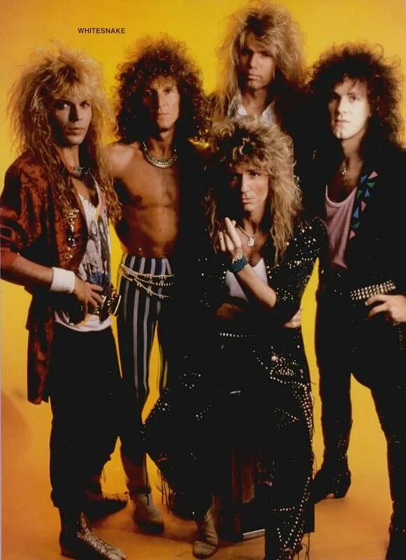 Название групп 70. Группа Whitesnake. Rock группа Whitesnake]. Группа Whitesnake foto. Whitesnake 80s.