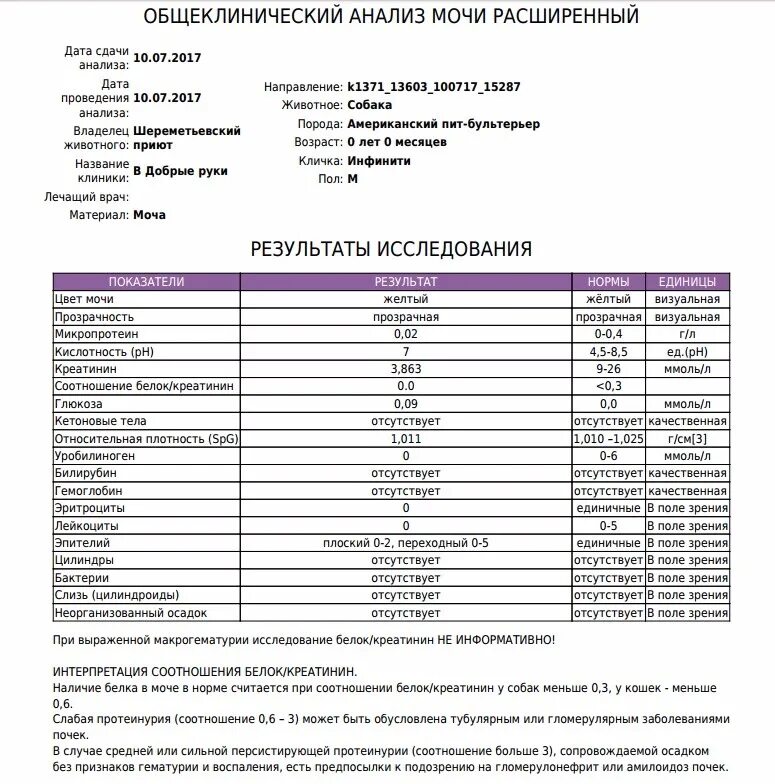 Уробилиноген повышен у мужчин. Общий анализ белка в моче при беременности норма. Белок в анализе моче норма у мужчин. Показатели белка в моче норма таблица. Белок в моче расшифровка анализа.