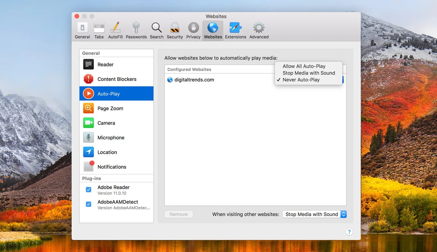 Как обновить mac до sierra. Mac os high sierra поддерживаемые устройства. safari mac os 12. фон для safari mac os. конфиденциальность safari mac os.