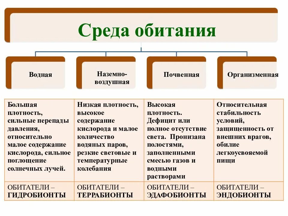 Наземно-воздушная среда водная почвенная и организменная. Среда обитания водная наземно-воздушная почвенная организменная. Водная и почвенная среда обитания сходства и различия. Особенности водной почвенной наземно-воздушной и организменной сред.