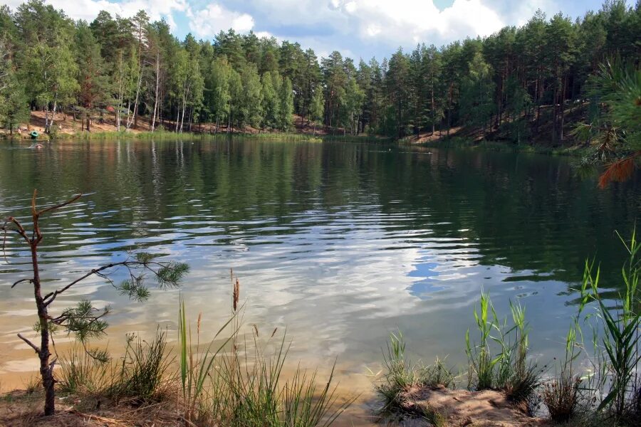 Озеро нижнее отзывы. Светлые озера Фролищи Нижегородская. Еловое озеро Фролищи. Озеро светлое Нижегородская область Володарский район. Флорищи Нижегородской области озеро.