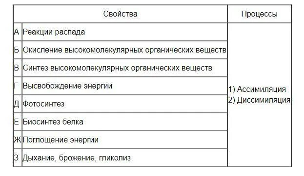 Установите соответствие между биологическим процессом. Установите соответствие между биологическим наукой пре.