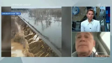 В прорыве дамбы виноваты грызуны