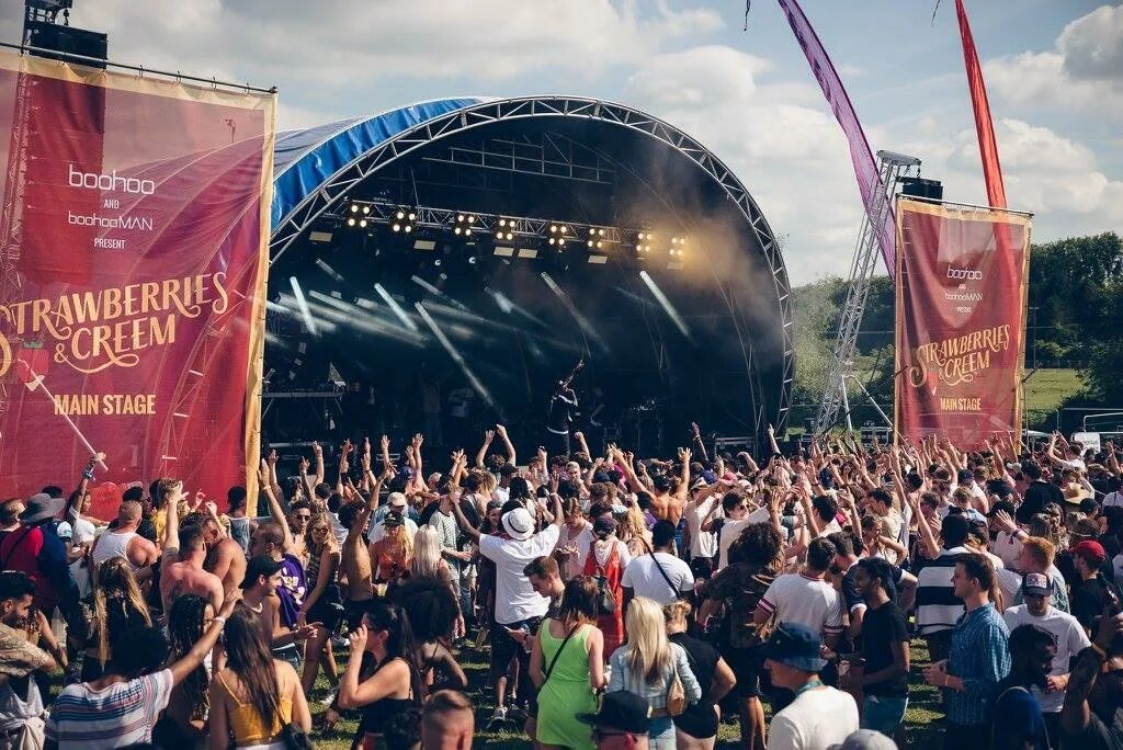 Крысиная вечеринка. Festival guide. Festival guide. Рок фестиваль. Blodguld фестиваль.