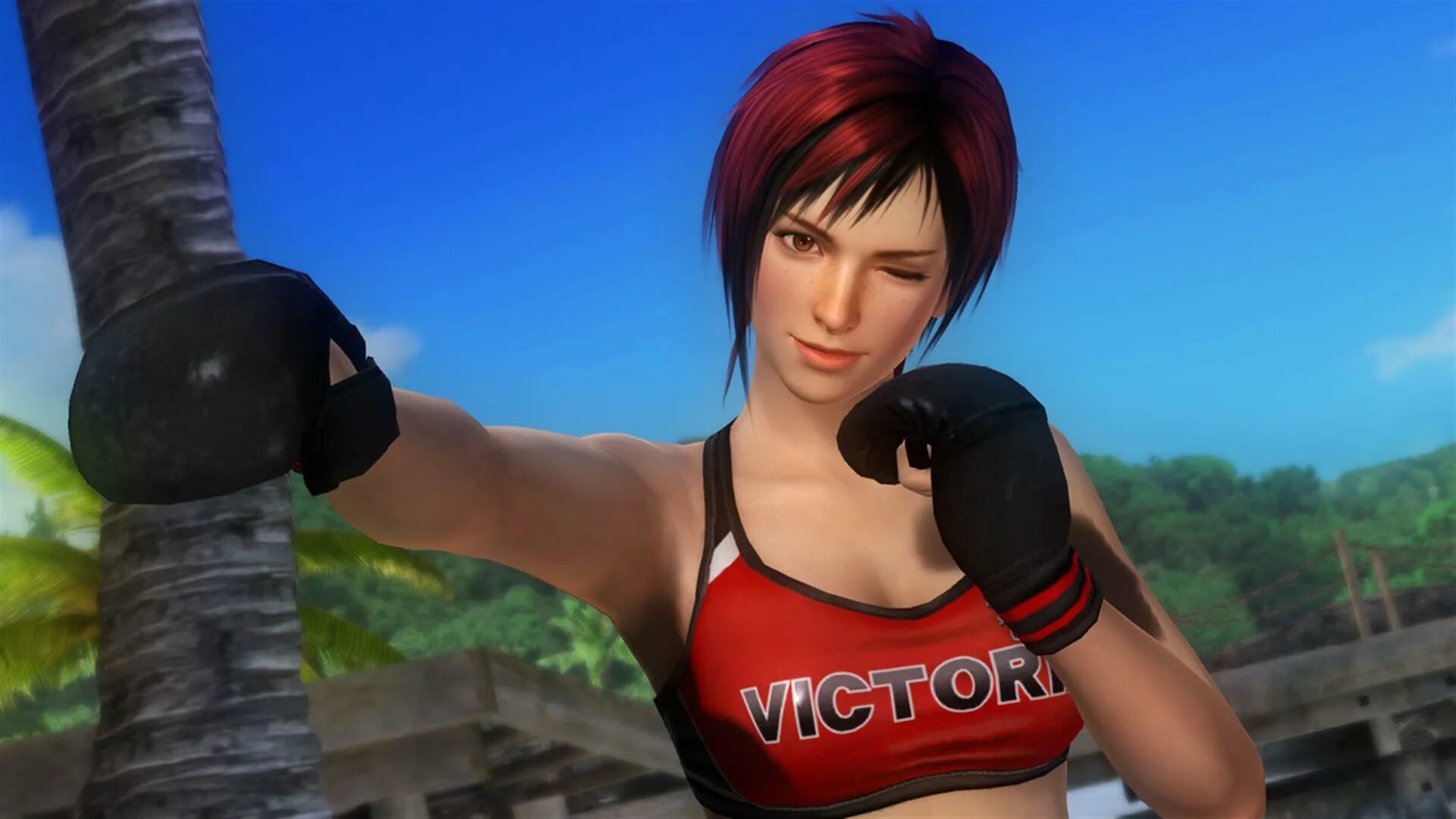 Dead or alive extreme. Dead or alive 6 миа. doa 5. dead or alive 5.