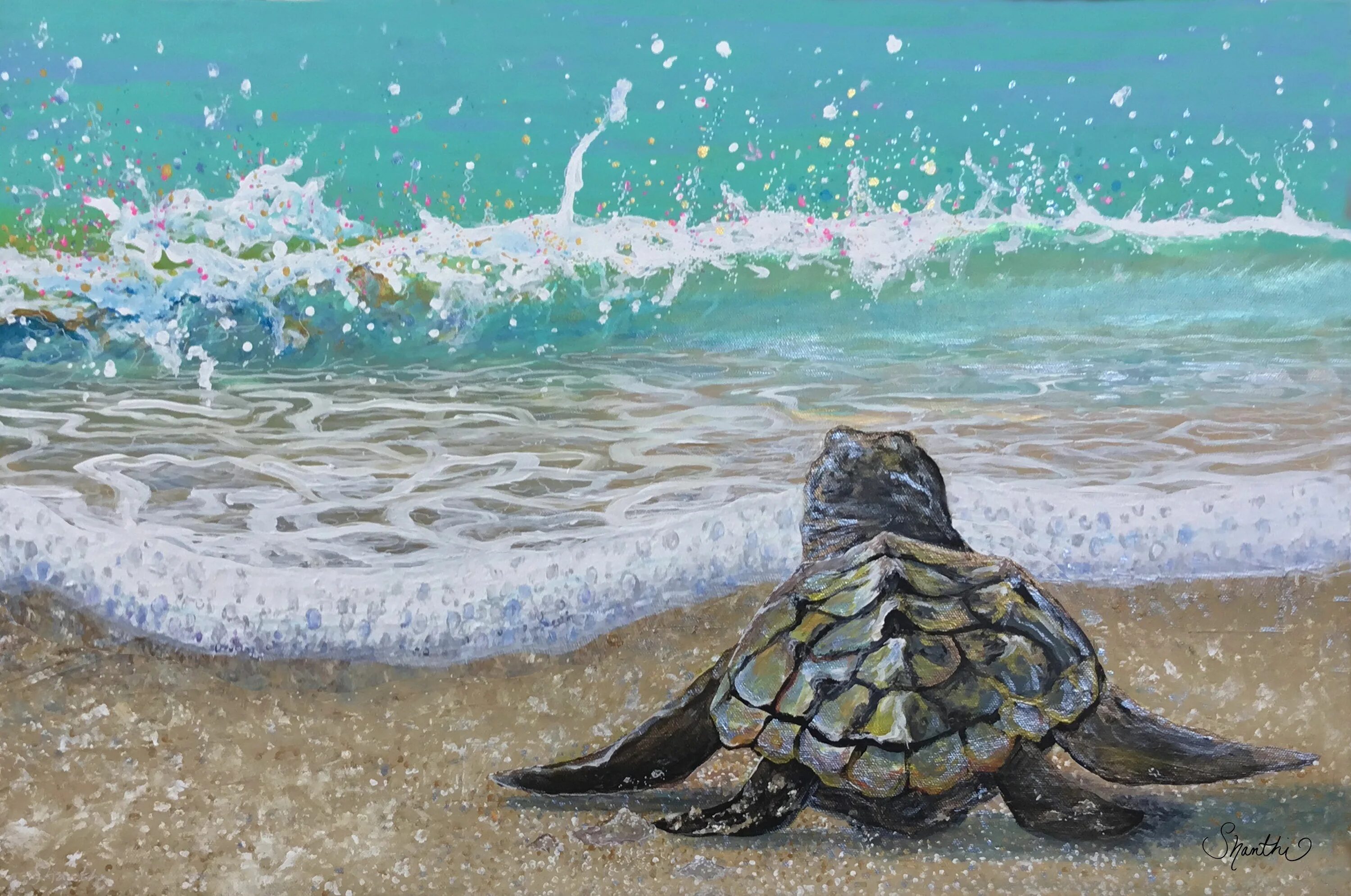 Возможность изображения картинки на экране холста turtle