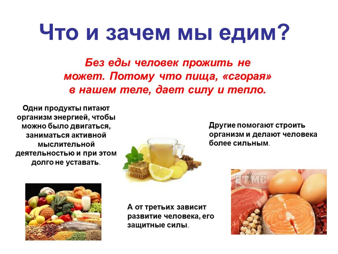 Дай на еду текст. Зачем мы едим. Презентация на тему что мы едим. Мы то что мы едим презентация. Презентация что мы едим и пьем.