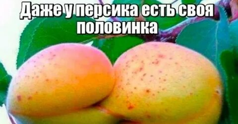 Хочу персиков