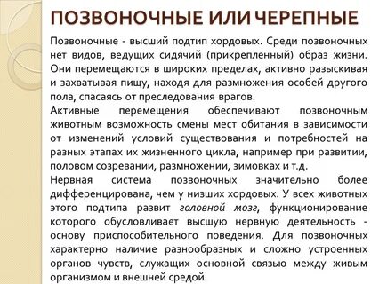 Позвоночные или черепные биология 7 класс