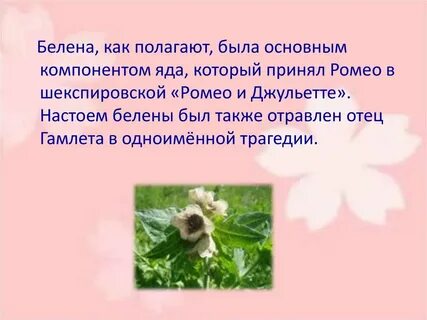 Как пишется белены