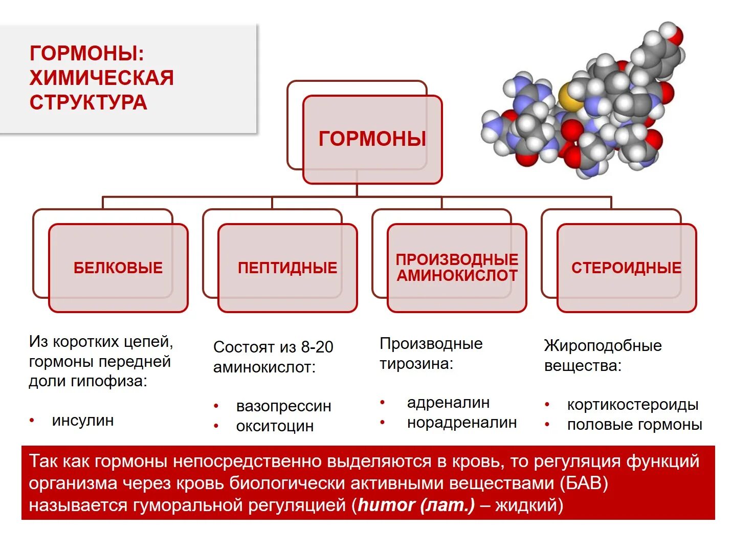 В ферменты входят гормоны. Гормоны состав и строение. Гормоны определение химия. Химический состав гормонов классификация. Строение и структура гормонов.